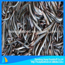 all types of frozen fish sand lance supplier